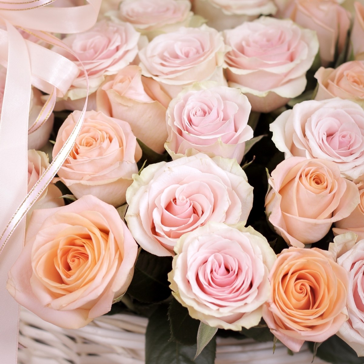 101 roza v korzine 7